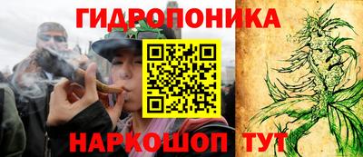 скорость Пушкино